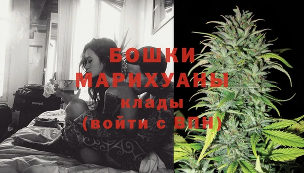 PSILOCYBIN Балахна