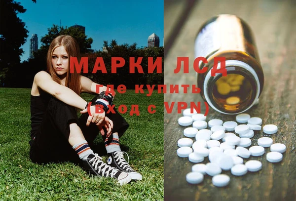 PSILOCYBIN Балахна